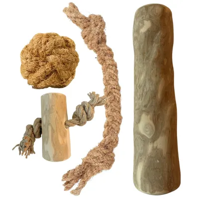 Boris & Lotje - Pack de base jouets pour chien