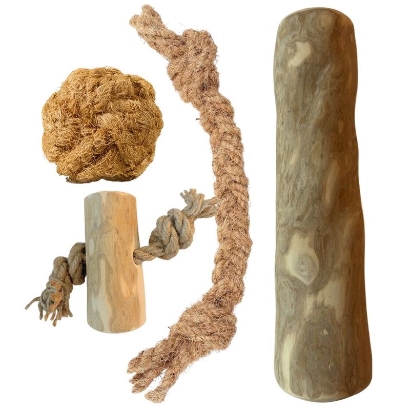Boris & Lotje - Jouets à mâcher - Pack de base jouets pour chien