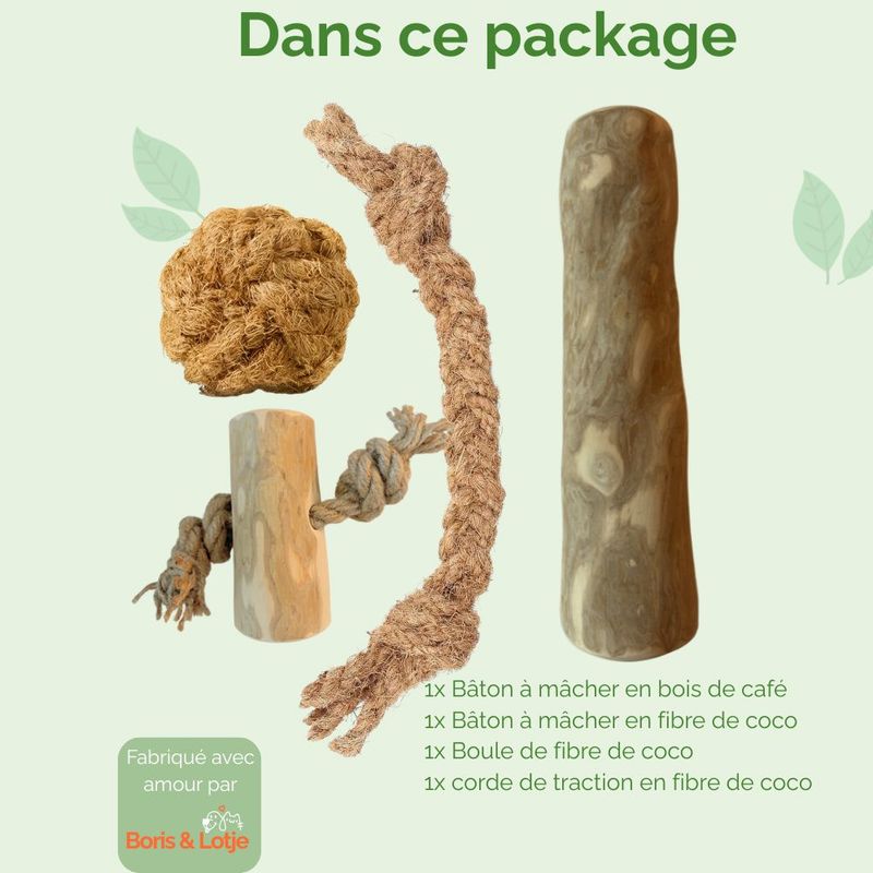 Boris & Lotje - Pack de base jouets pour chien
