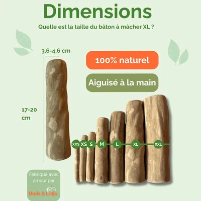 Boris & Lotje - Pack de base jouets pour chien