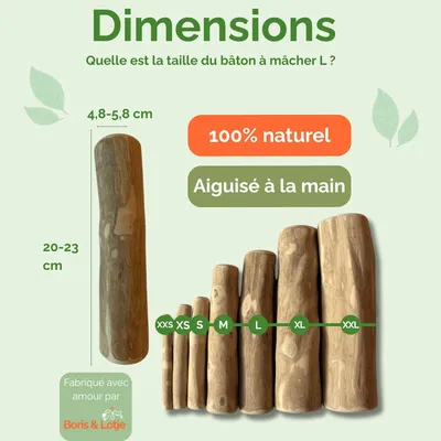 Boris & Lotje - Pack de base jouets pour chien