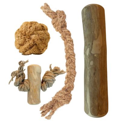 Boris & Lotje - Jouets à mâcher - Pack de base jouets pour chien
