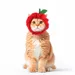 IntiMeg Chapeau de fête pour chat - Pomme rouge