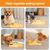 IntiMeg Jeu d'intelligence Fun Puzzle pour chien