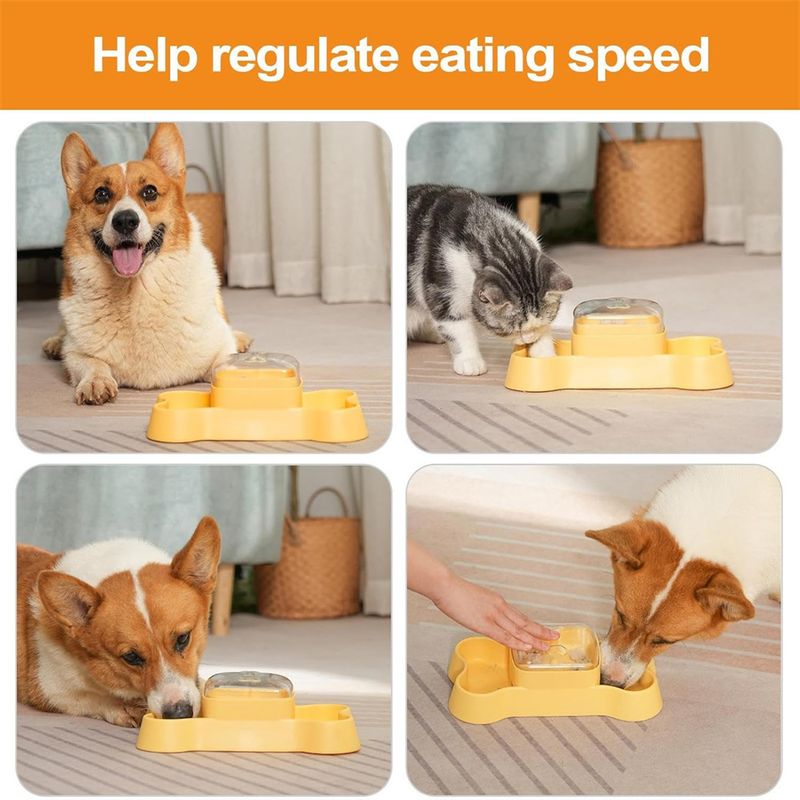IntiMeg Jeu d'intelligence Fun Puzzle pour chien