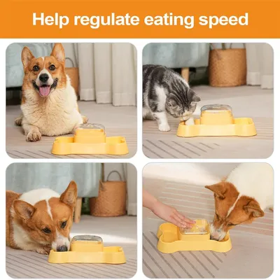 IntiMeg Jeu d'intelligence Fun Puzzle pour chien