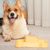 IntiMeg Jeu d'intelligence Fun Puzzle pour chien