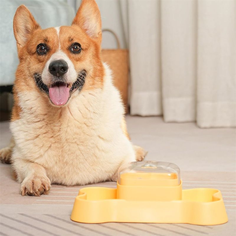 IntiMeg Jeu d'intelligence Fun Puzzle pour chien