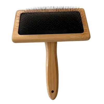 Brosse pour chiens à longs picots – Bois de bambou durable