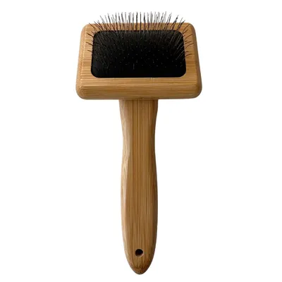 Brosse pour chiens à longs picots – Bois de bambou durable