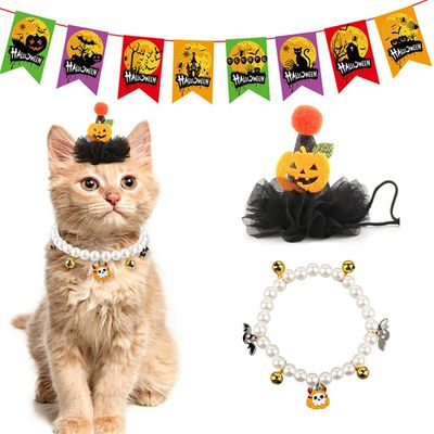 IntiMeg Accessoires d'Halloween pour chats