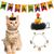 IntiMeg Accessoires d'Halloween pour chats