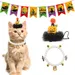 IntiMeg Accessoires d'Halloween pour chats