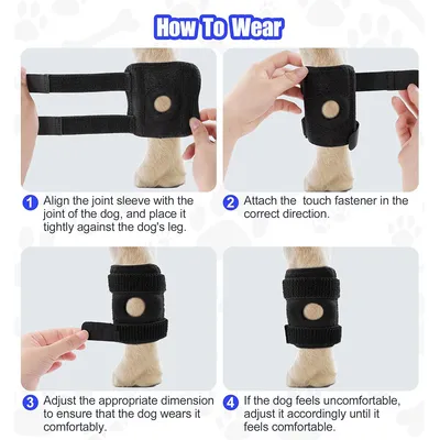 IntiMeg Cinturón de soporte para las patas traseras del perro