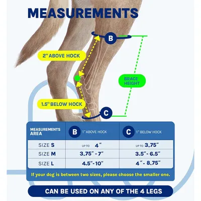IntiMeg Ceinture de maintien des pattes arrière du chien