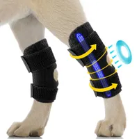 IntiMeg Ceinture de maintien des pattes arrière du chien