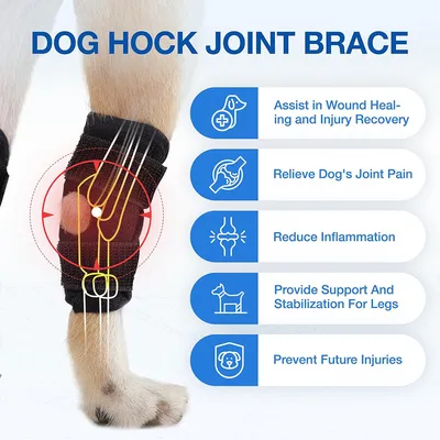 IntiMeg Cinturón de soporte para las patas traseras del perro