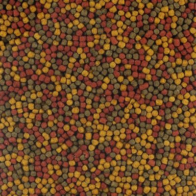 Nourriture granulats pour poisson d'étang,   - 5 Litres soit 1.750 kg