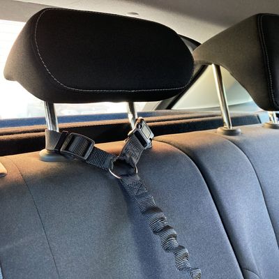 Laisse de voiture Ramone Noir M pour chien max 30 kg