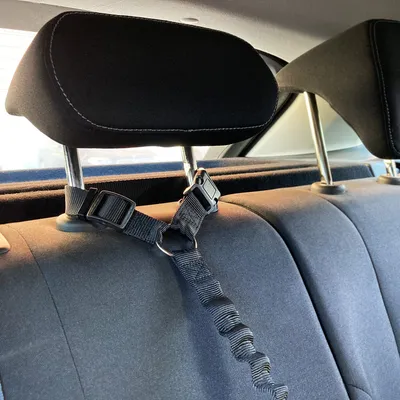 Flamingo - Laisse de voiture Ramone Noir M pour chien max 30 kg