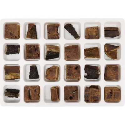 Flamingo - Calendrier de l'avent Nature snack pour chien