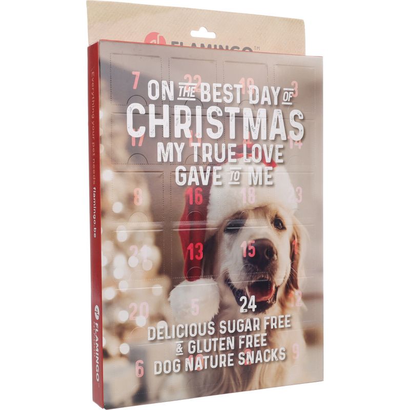 Calendrier de l'avent Noël Nature snack pour chien