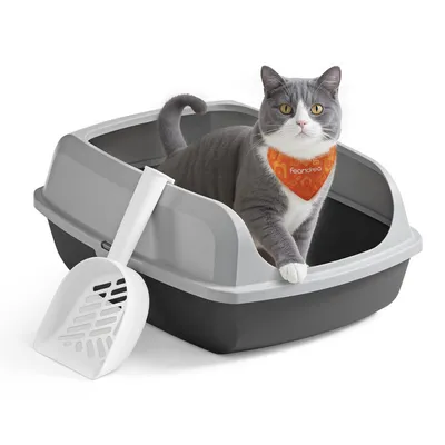 Feandrea Bac à Litière pour Chat Parois Hautes XL avec Pelle