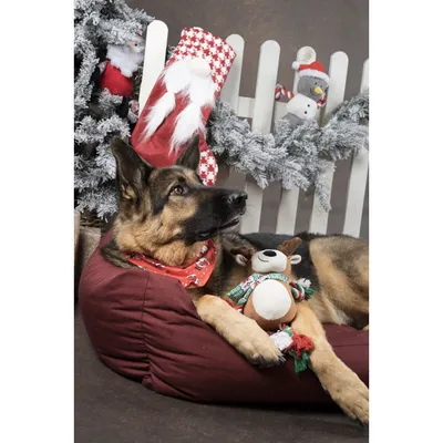 Flamingo - Caribou Vicente Brun 35 cm jouet Noel pour chien