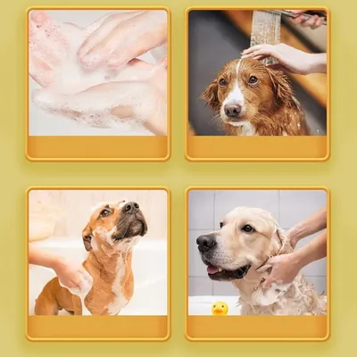 ZooVenture Distributeur de shampooing pour chiens