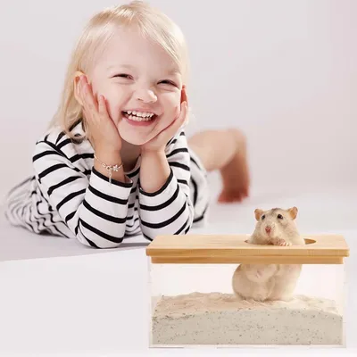 ZooVenture Bain salle pour hamster