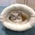 PetTribes Sac de couchage pour chat - Doux et lavable