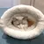 PetTribes Sac de couchage pour chat - Doux et lavable PetTribes Sac de couchage pour chat - Doux et lavable