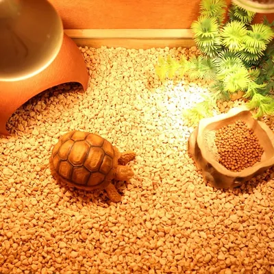 ZooVenture Sans Poussière Litière Pour Lapins Écureuils Hamsters