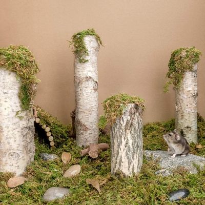 ZooVenture Litière en mousse forestière pour petits animaux