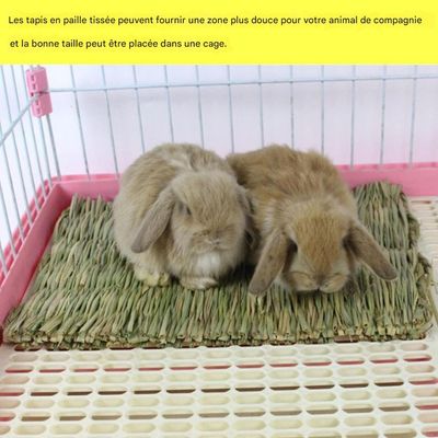 ZooVenture Litière naturelle tapis d'herbe lapin petit animal compagnie