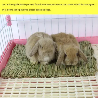 ZooVenture Litière naturelle tapis d'herbe lapin petit animal compagnie