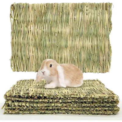 ZooVenture Litière naturelle tapis d'herbe lapin petit animal compagnie