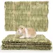 ZooVenture Litière naturelle tapis d'herbe lapin petit animal compagnie