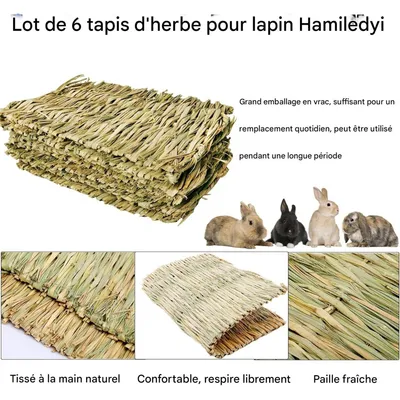 ZooVenture Litière naturelle tapis d'herbe lapin petit animal compagnie
