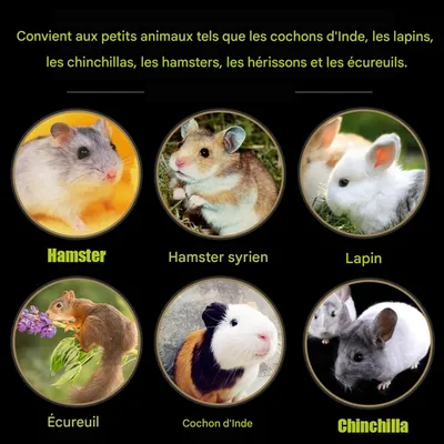 ZooVenture Litière naturelle tapis d'herbe lapin petit animal compagnie