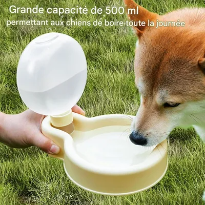 ZooVenture Portable Gamelle D'eau Pour Chiens