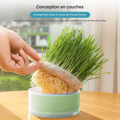 ZooVenture Jardinière à Herbe de Chat 12*12*5CM