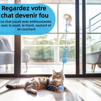 ZooVenture Interactive Lot de 2 Balles de Jouet pour Chat