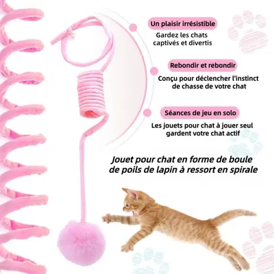 ZooVenture Interactive Lot de 2 Balles de Jouet pour Chat