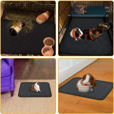 ZooVenture Lavable et Etanche Lot de 2 Tapis pour Hamster