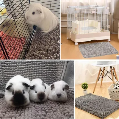ZooVenture Réutilisable Tapis pour Cage de Cochon d'Inde