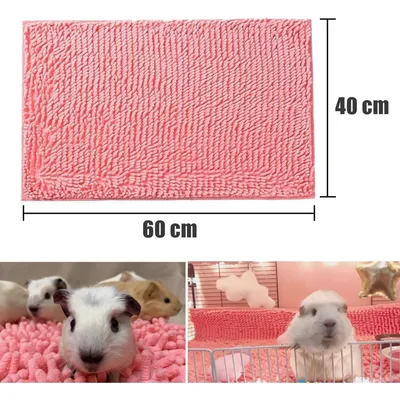ZooVenture Réutilisable Tapis pour Cage de Cochon d'Inde