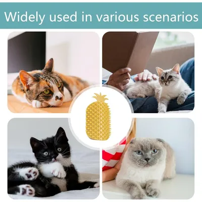 ZooVenture Cepillo para gatos de esquina de fácil instalación