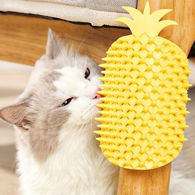 ZooVenture Installation Facile Brosse D'angle Pour Chat