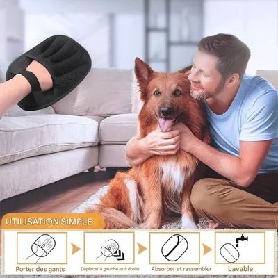 ZooVenture Gants de dépilage pour animaux de compagnie